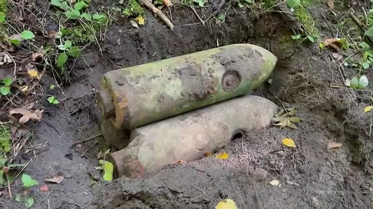 Под Правдинском грибник нашёл в лесу три немецкие авиабомбы
