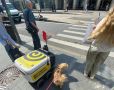 В Калининградской области протестируют роботов-доставщиков