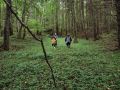 В Виштынецком нацпарке установили устройства для записи голосов оленей