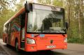 В Калининграде появились 12 новых компактных автобусов ЛиАЗ