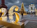 Дятлова выбрала Калининграду установщика ёлочки на 2027 год