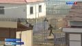 Более 400 человек сегодня приняли участие в финале всероссийской игры «Семейная зарница» в Волгоградской области
