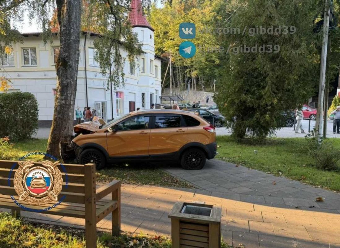 В Светлогорске автомобиль на полном ходу протаранил людный сквер