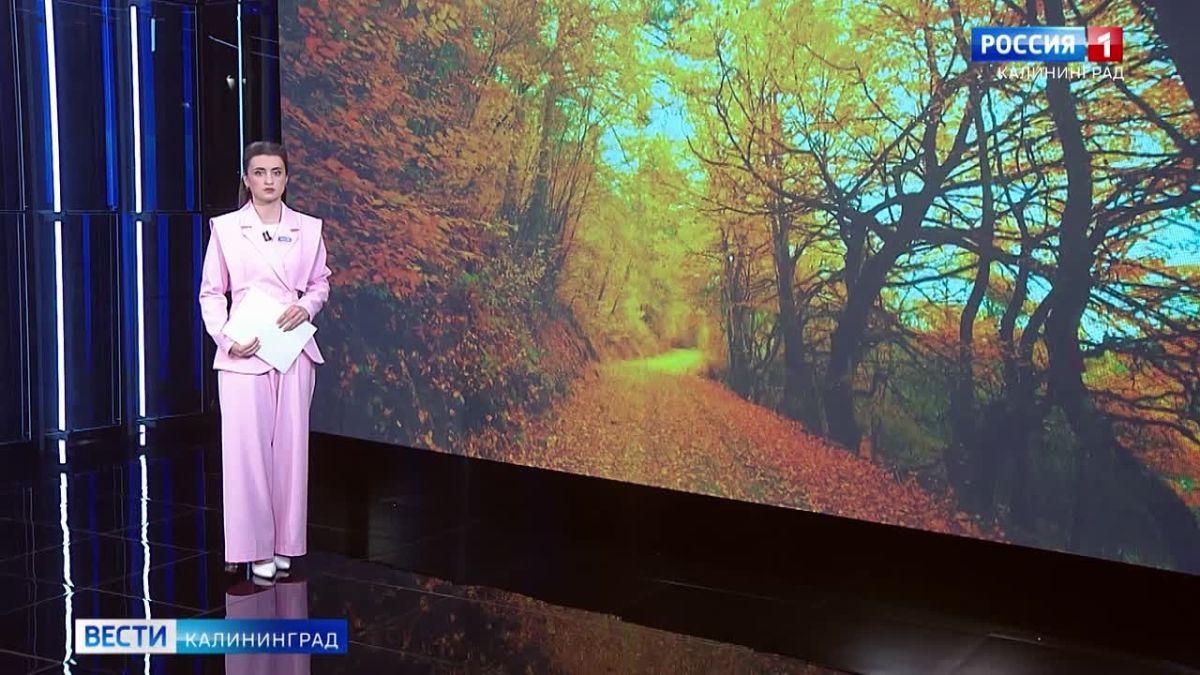 Что изменится для миллионов россиян в октябре