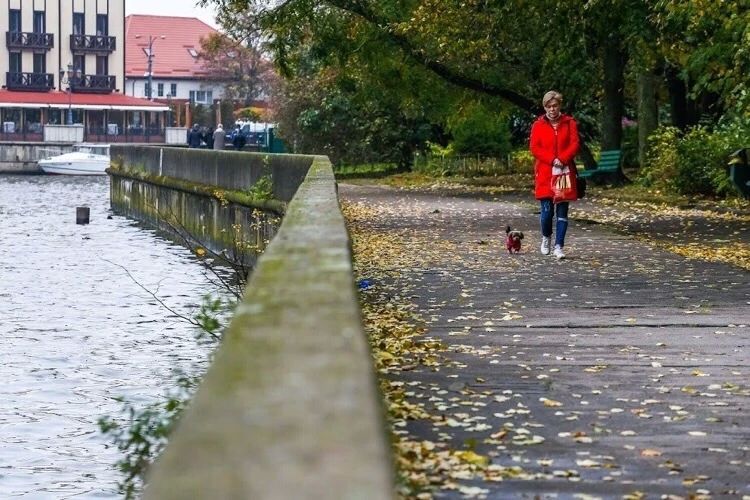 Прощай, бабье лето! К концу рабочей неделе в Калининградской области ожидается резкое похолодание