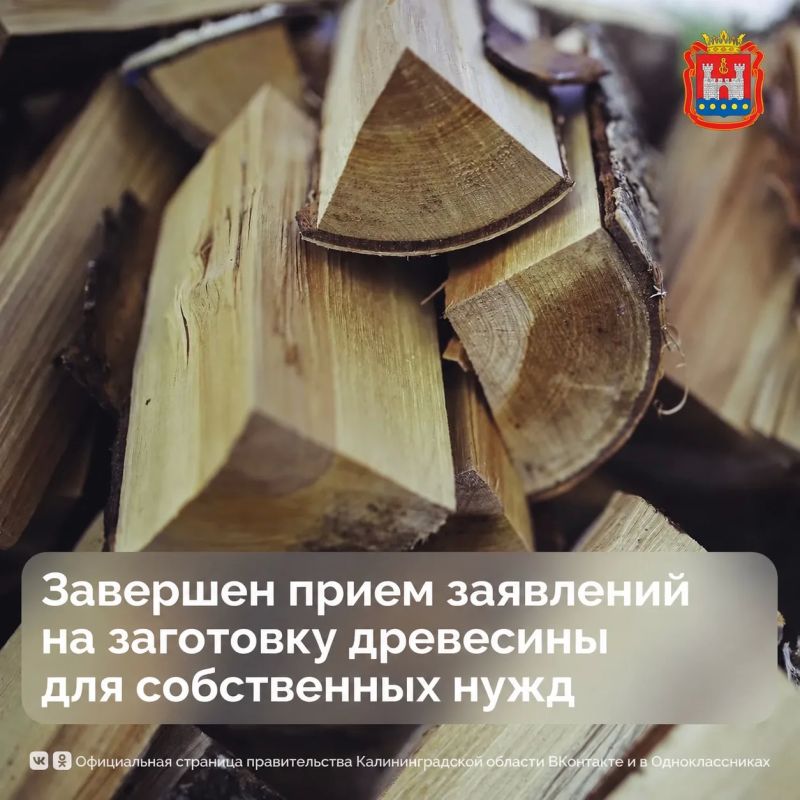 Завершен прием заявлений на заготовку древесины для собственных нужд