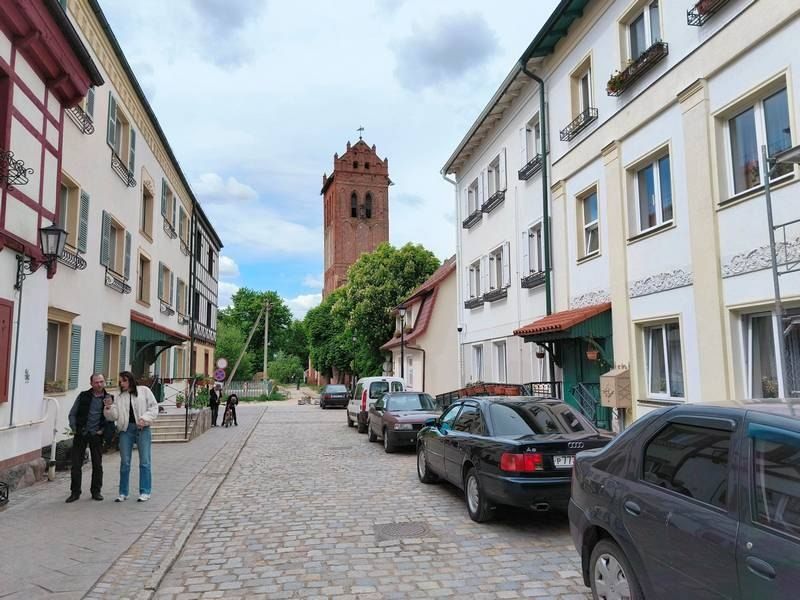 В Правдинском районе пропала сбежавшая от вора лайка
