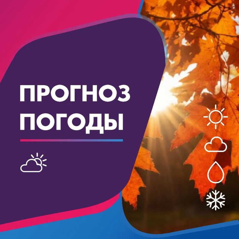 ПОГОДА 7 ОКТЯБРЯ В КАЛИНИНГРАДСКОЙ ОБЛАСТИ