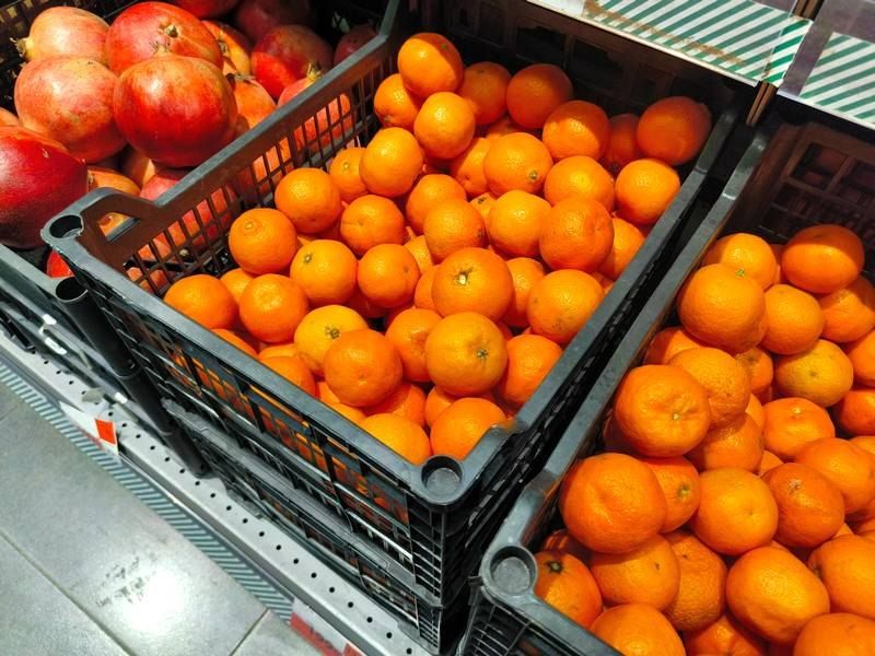 В Калининград из Египта ввалились мухи мандариновой смерти