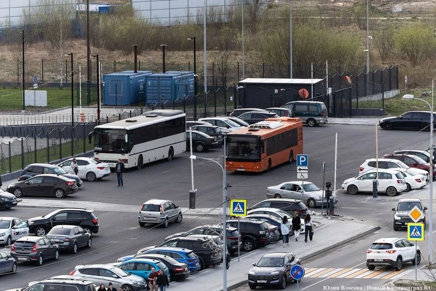 ГИБДД оштрафовала 152 пассажира автобусов в Калининградской области