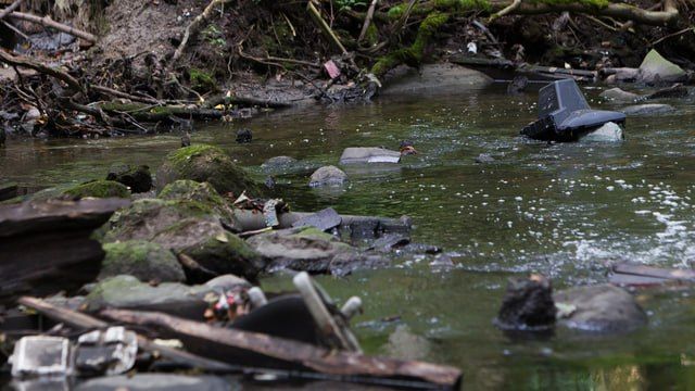 В Калининграде расчистили 2,5 км русла Товарной реки — одной из виновниц городской вони