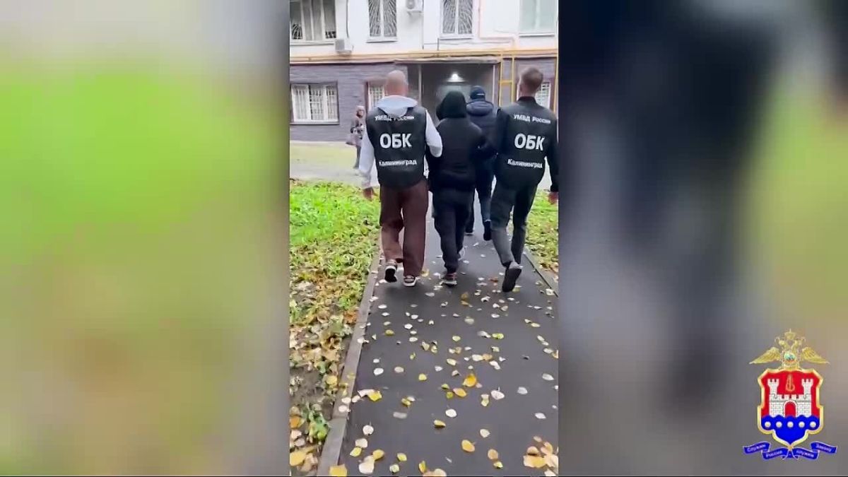 Москвич искал малолетних девочек в мессенджере для непристойных видеозвонков