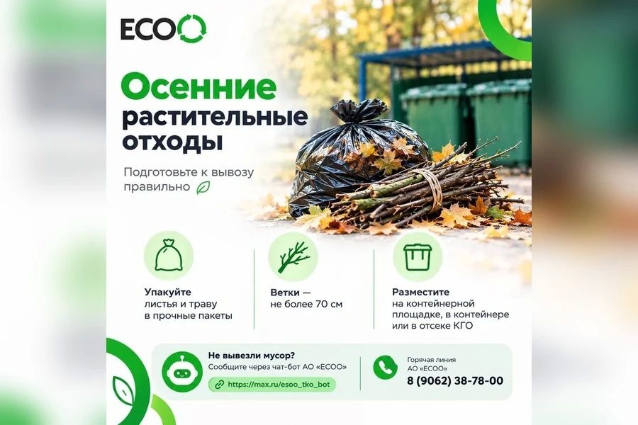 В ЕСОО напомнили, как выбрасывать осенние листья и ветки
