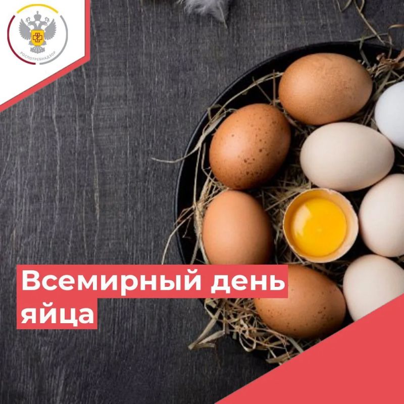Всемирный День яйца. Во Всемирный День яйца, который отмечается сегодня, решили напомнить Вам о полезных свойствах этого удивительного продукта питания