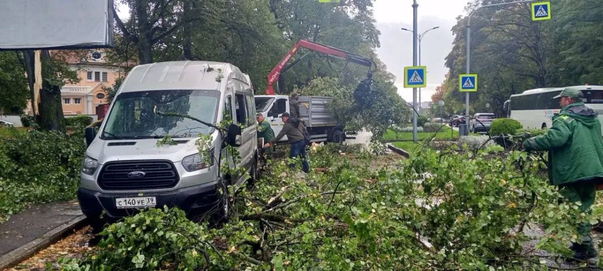 Шторм в Калининграде стихает, но последствия ещё устраняют Шторм в Калининграде стихает, но последствия ещё устраняют