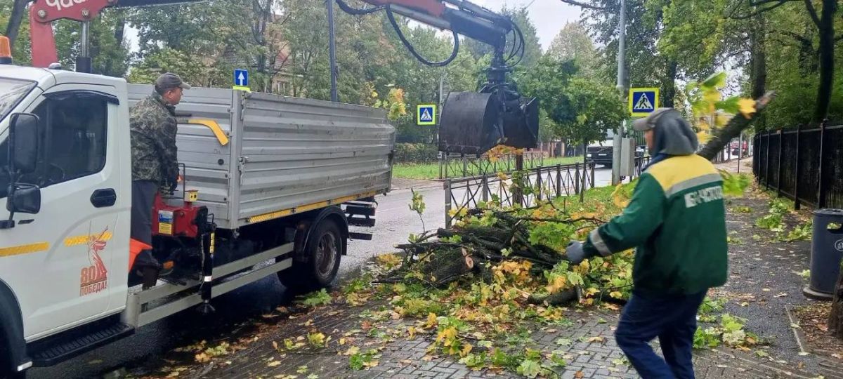 Шторм в Калининграде стихает, но последствия ещё устраняют Шторм в Калининграде стихает, но последствия ещё устраняют