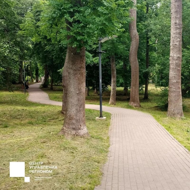 Сегодня в фокусе – городской парк в Зеленоградске Сегодня в фокусе – городской парк в Зеленоградске