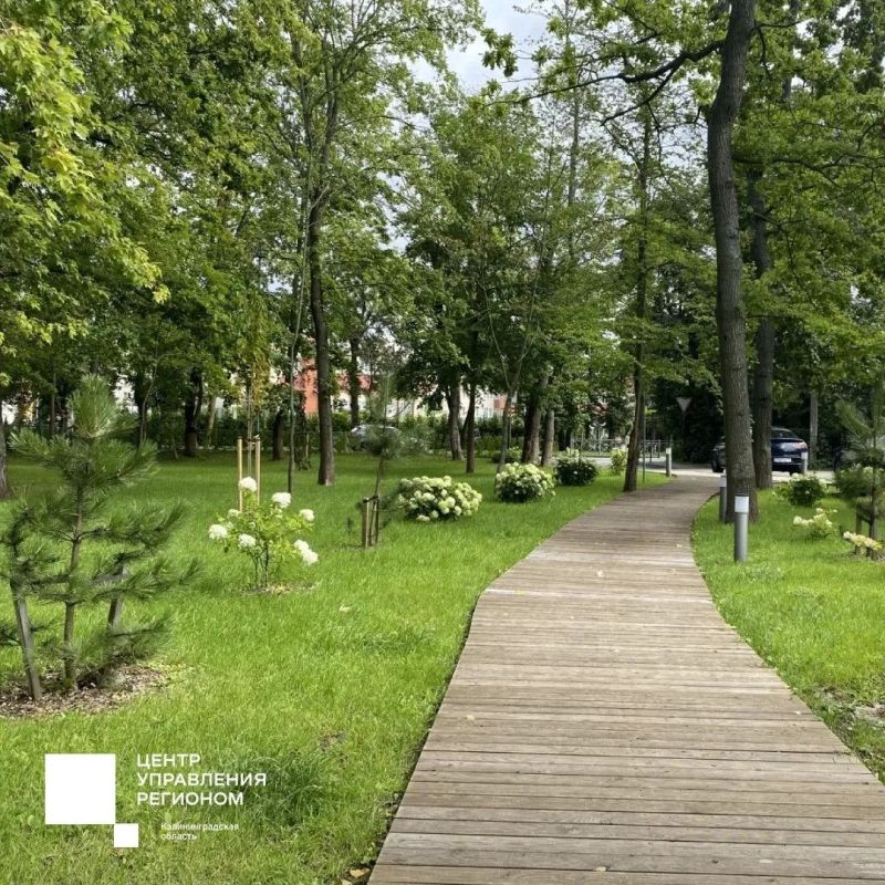 Сегодня в фокусе – городской парк в Зеленоградске Сегодня в фокусе – городской парк в Зеленоградске