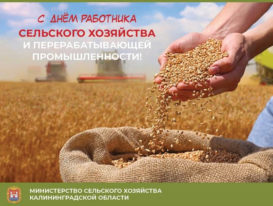 Дорогие коллеги, друзья!. От всей души поздравляем с нашим профессиональным праздником - Днём работника сельского хозяйства и перерабатывающей промышленности! Этот год, как и предыдущий, для наших аграриев выдался...