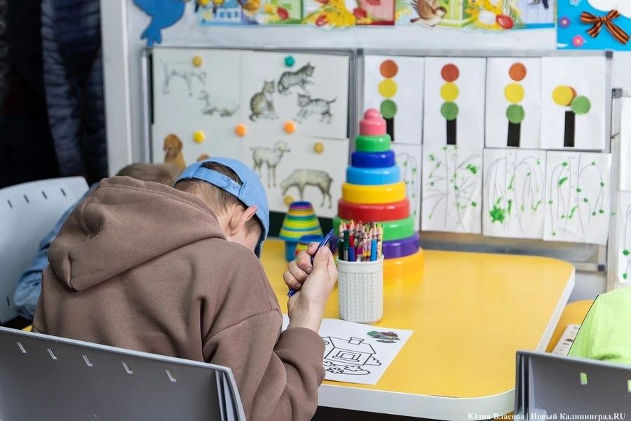 Дятлова: отопление дали в 69 социальных объектах Калининграда из 379