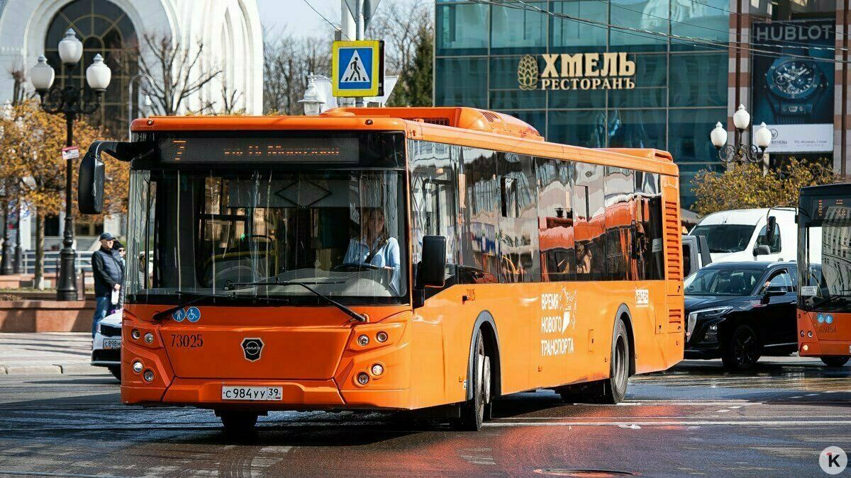 Штрафы не решают проблему с автобусами в Калининграде, но забрать маршруты у частников непросто — Дятлова