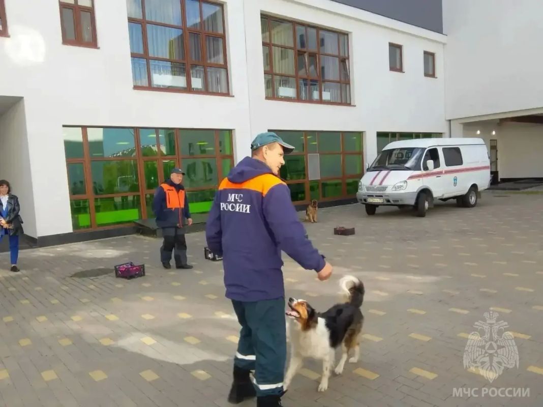 Четвероногие спасатели МЧС России побывали в гостях у школьников Четвероногие спасатели МЧС России побывали в гостях у школьников