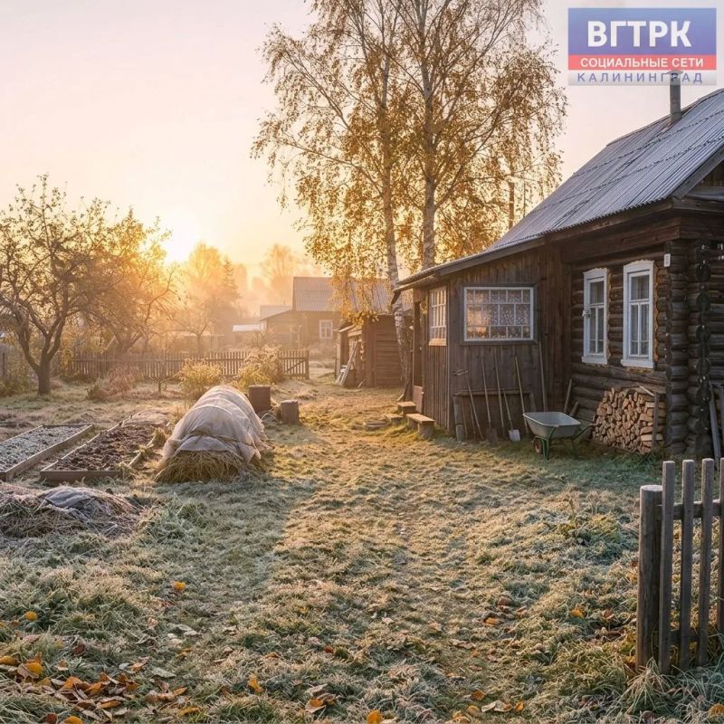 Доброе утро, друзья!. 14 октября отмечается Покров Пресвятой Богородицы
