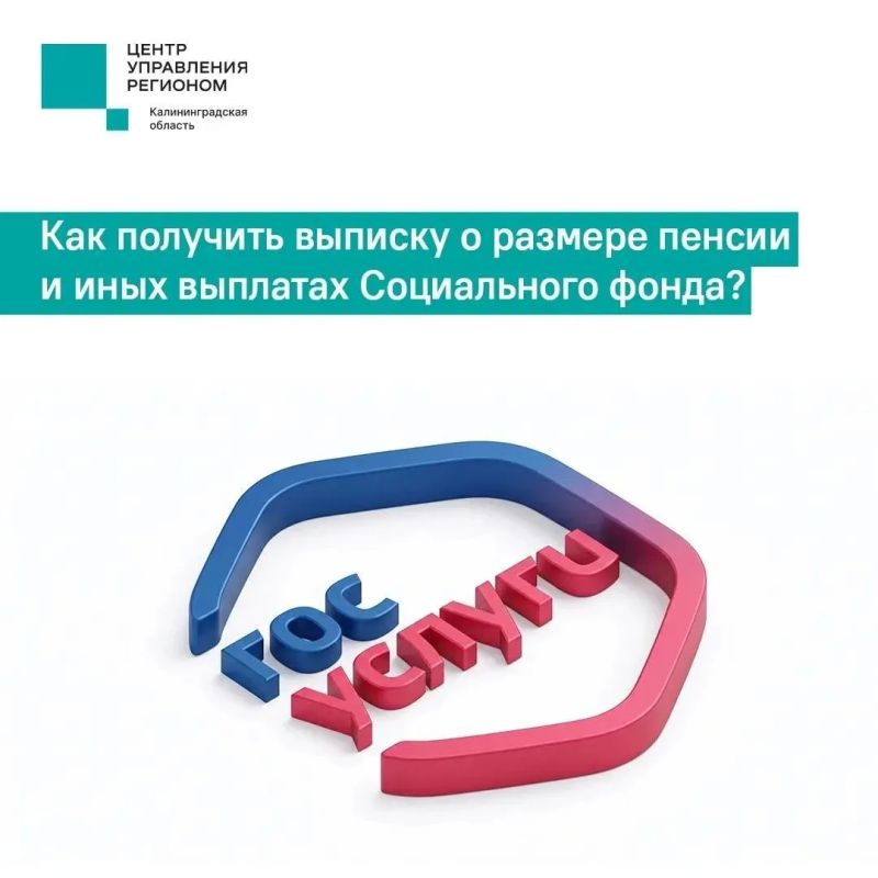Рассказываем, как получить выписку из Социального фонда на портале «Госуслуги»