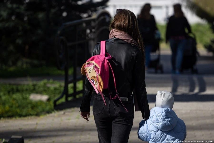 Соцфонд: День народного единства не повлияет на сроки выплат детских пособий