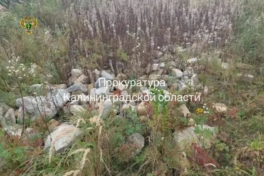 Прокуратура добилась ликвидации отходов в заказнике «Романовское»