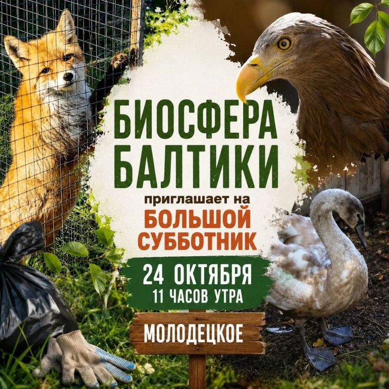 24 октября «Биосфера Балтики» приглашает на большой субботник