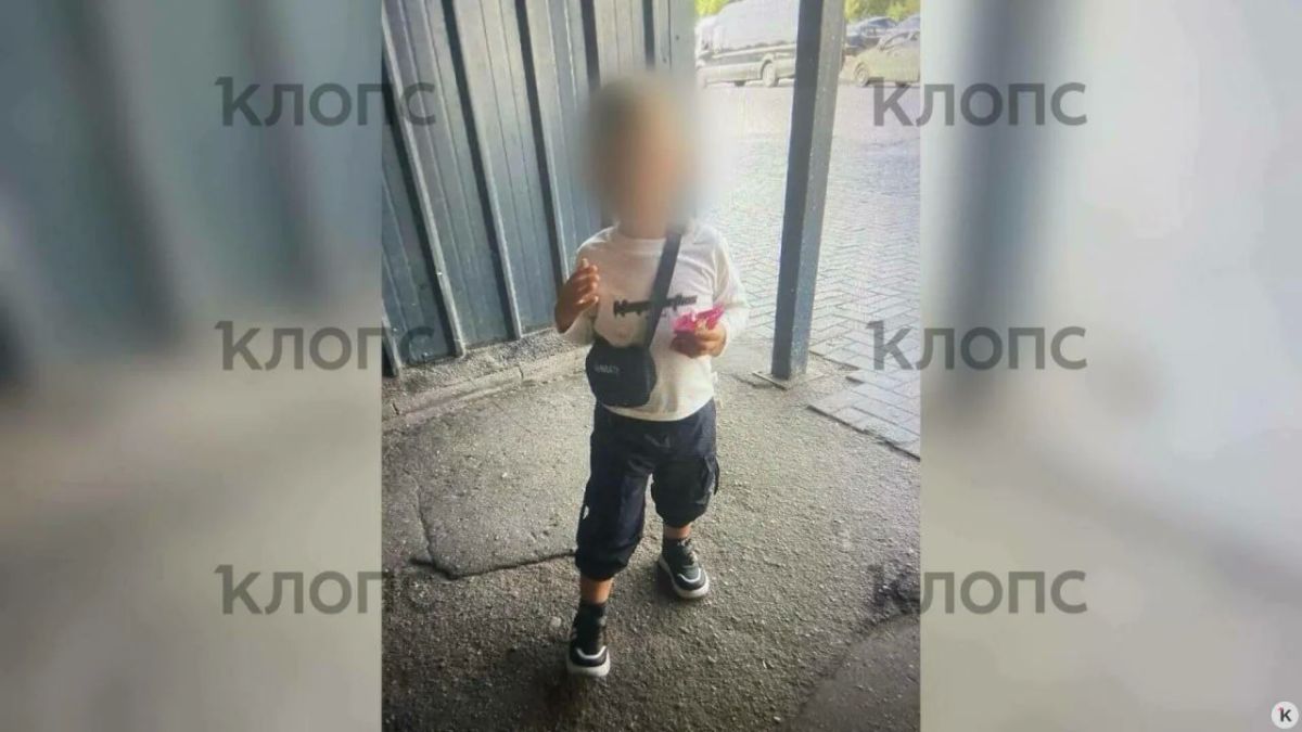 Погибший в колодце под Черняховском четырёхлетний мальчик жил с мамой и бывшей свекровью женщины