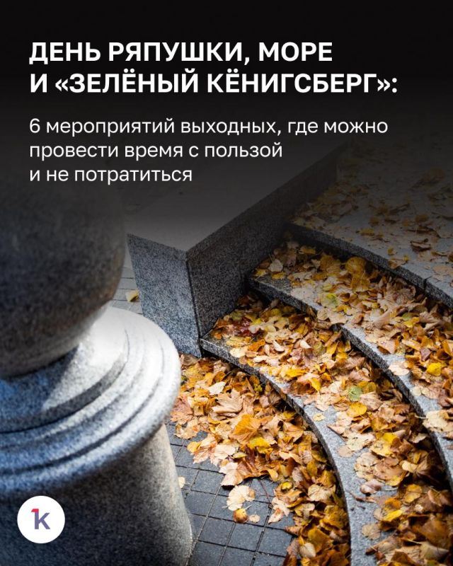 Полакомиться ряпушкой, поговорить с психологом и обменяться ненужными вещами