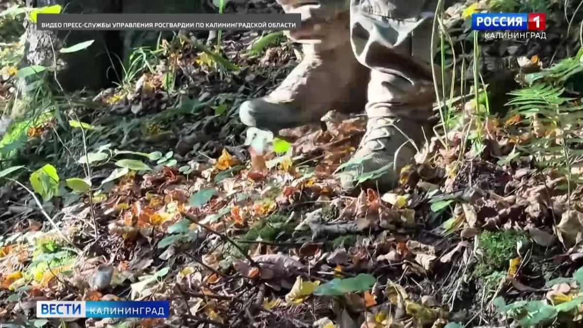 Бойцы спецназа Росгвардии завершили полевой выход