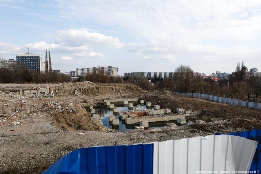 Мэрия готова обсуждать транспортную схему центра Калининграда, предложенную архитекторами
