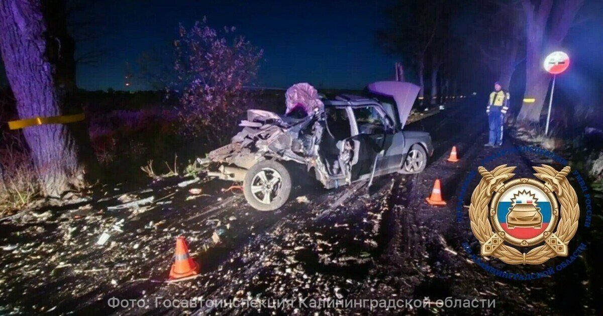 Subaru вывернуло наизнанку: в Зеленоградском районе водитель выехал на встречку и врезался в дерево