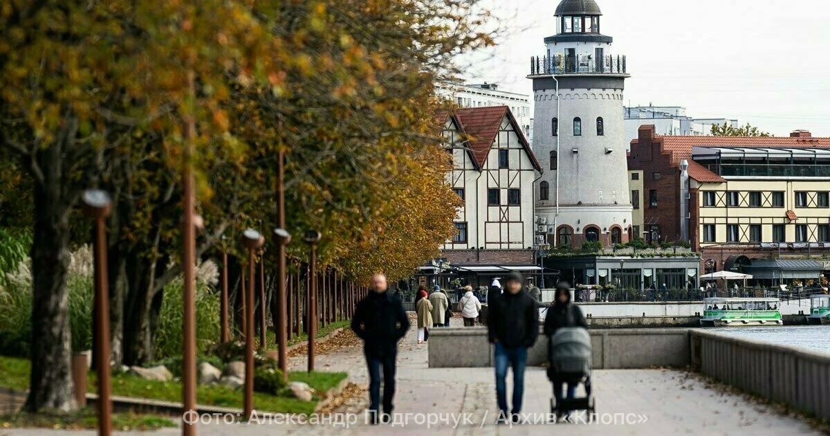 Солнце и южный ветер: какой будет погода в Калининградской области в среду