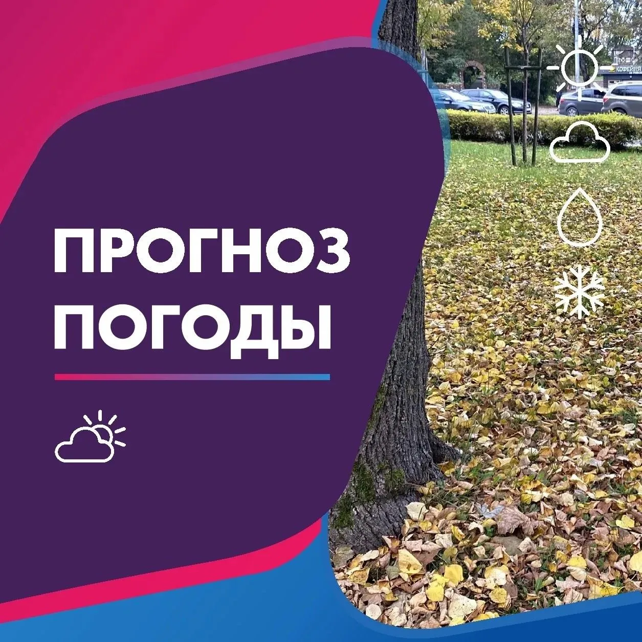 ПОГОДА 29 ОКТЯБРЯ В КАЛИНИНГРАДСКОЙ ОБЛАСТИ