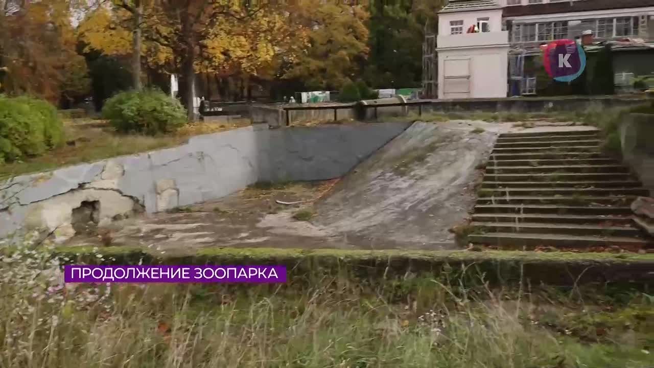Экологический сквер расцвел на месте бывшего оврага