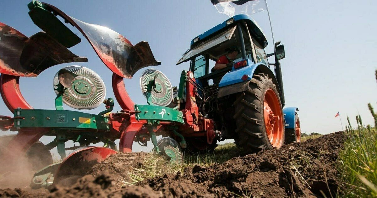 Вместо шумных курортов — деревня: россияне всё чаще выбирают отдых на фермах
