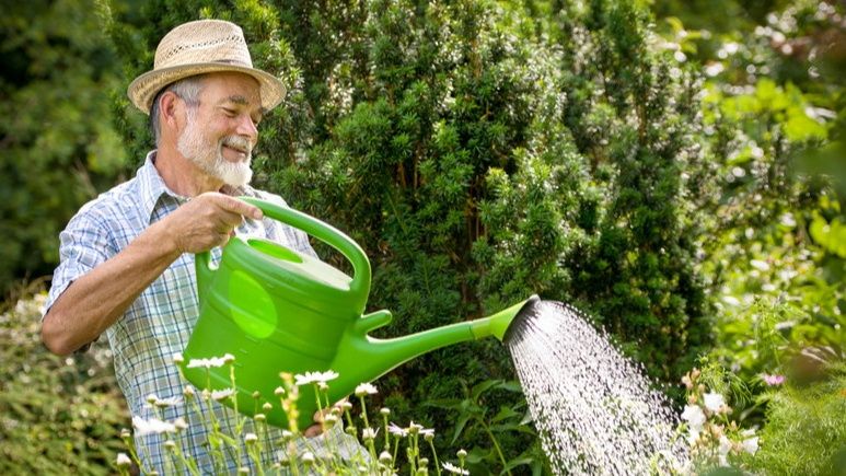 Как дача продолжает радовать: 5 простых правил для садоводов старше 60