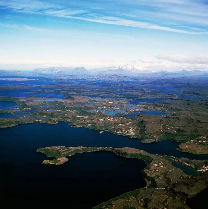 Кергелен: зеленое убежище на краю света и его уникальная капуста