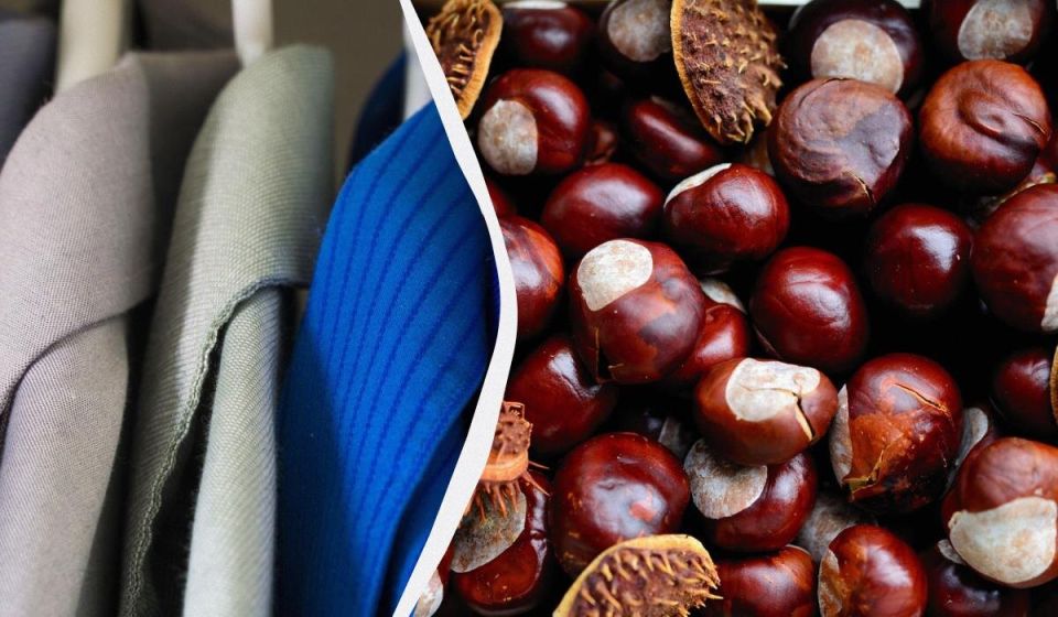 ���������� ������ ���������� �� ���������� �������: ������� � ����� �����