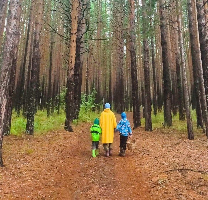 �� ��� �������� �������� �������: ������������ ������� � �������� � ������