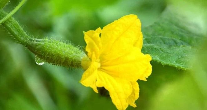 �������, �� ������� ������ ���������� ������