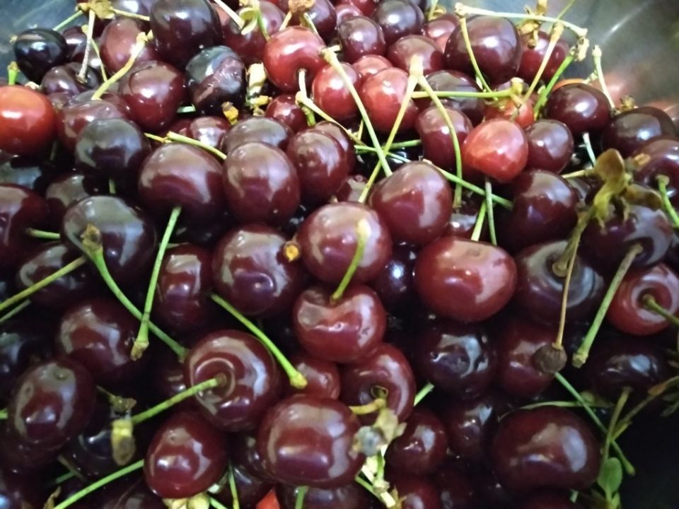 ��������� ������: ���������, ������� ����������� ������ ���������