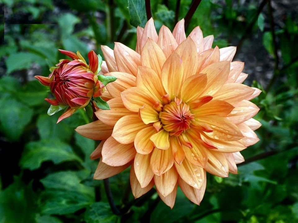 �������� ��� �������: ��� �������� ������� ����� �� �������� � ����������