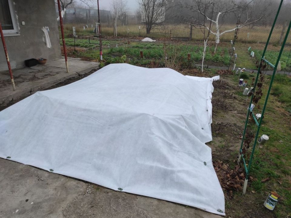 ������ ��� ��� ���: ��� �������� ���������������� ������ ��� �������