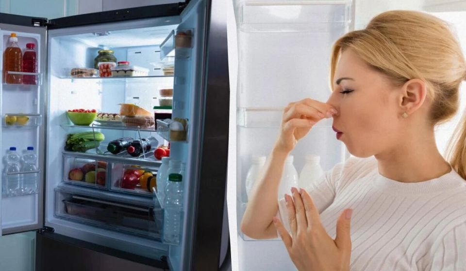 Как быстро избавиться от запаха в холодильнике: простой метод, который работает