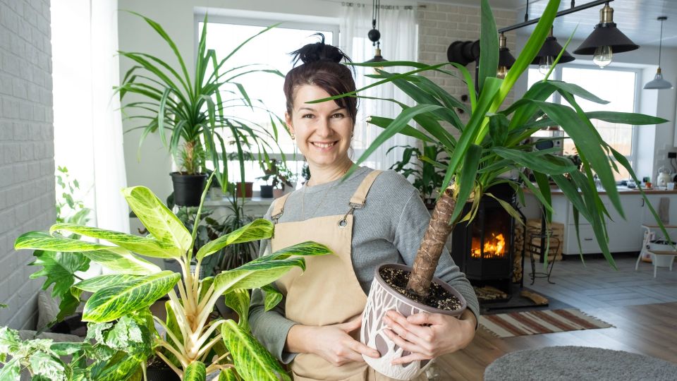 ����� �������� ��� ������ �2 ������: �������� ������� ���� ����